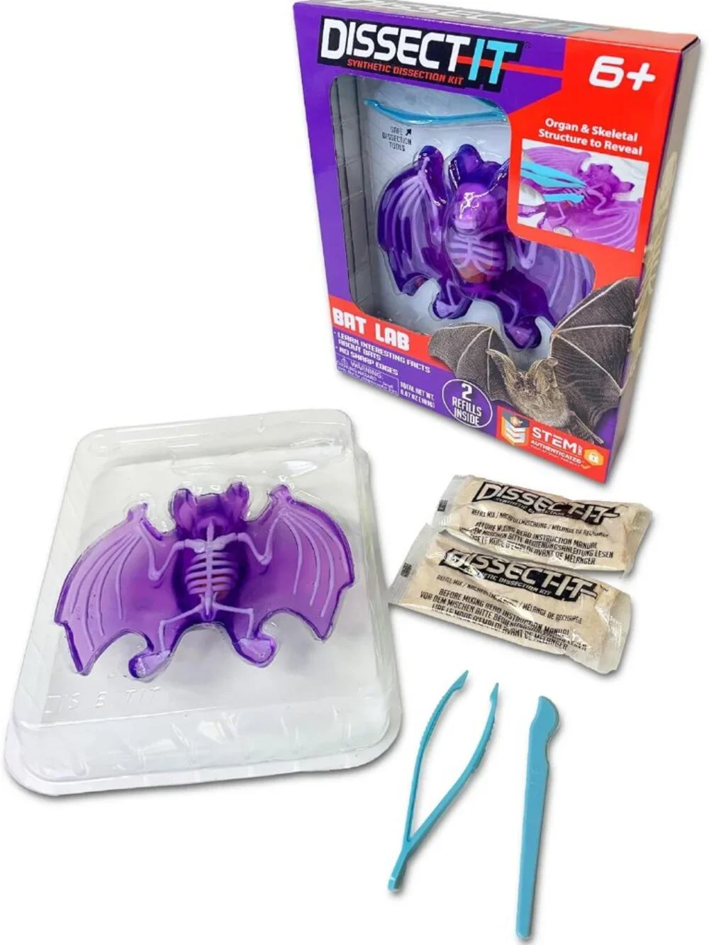 NEW Dissect-it Synthetic Lab Dissection Toy STEM KIT CRAFT Project Bat Biology A
